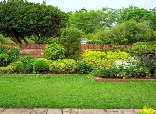 landscaping services Cadiz